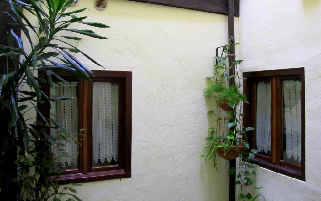 ليكونبيري Hostal Rural Elosta المظهر الخارجي الصورة