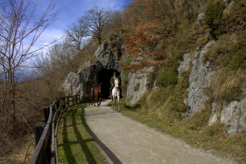 ليكونبيري Hostal Rural Elosta المظهر الخارجي الصورة